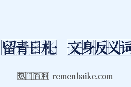 留青日札·文身反义词是什么意思的图片
